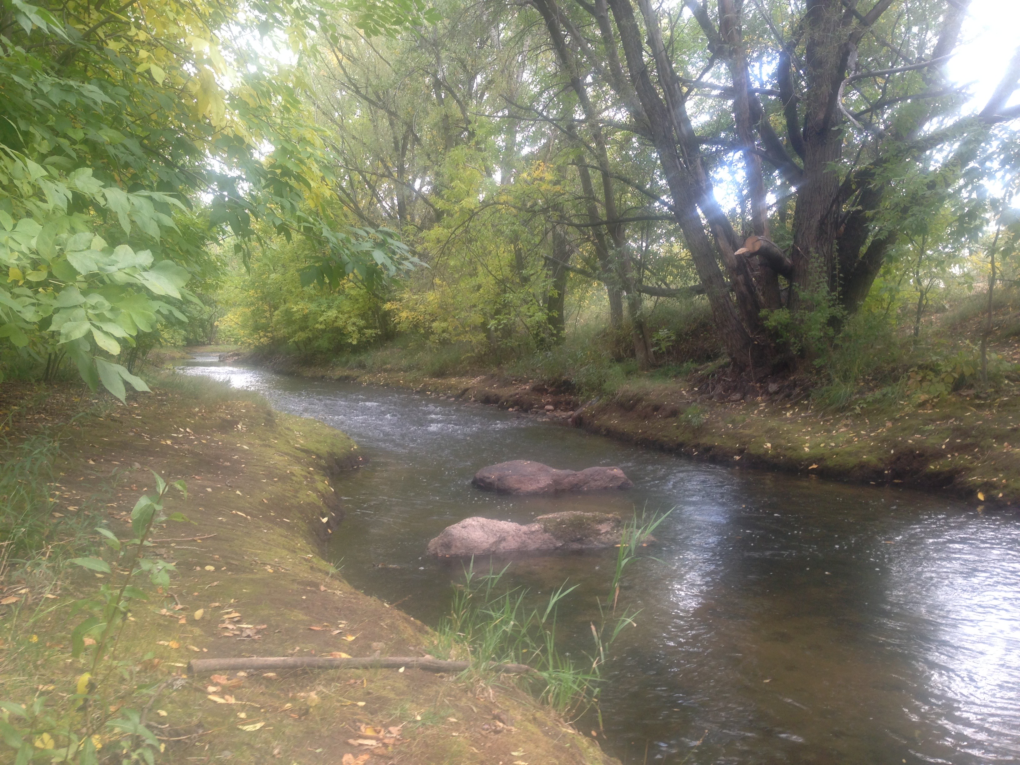 Boulder Creek, favorite retreat spot